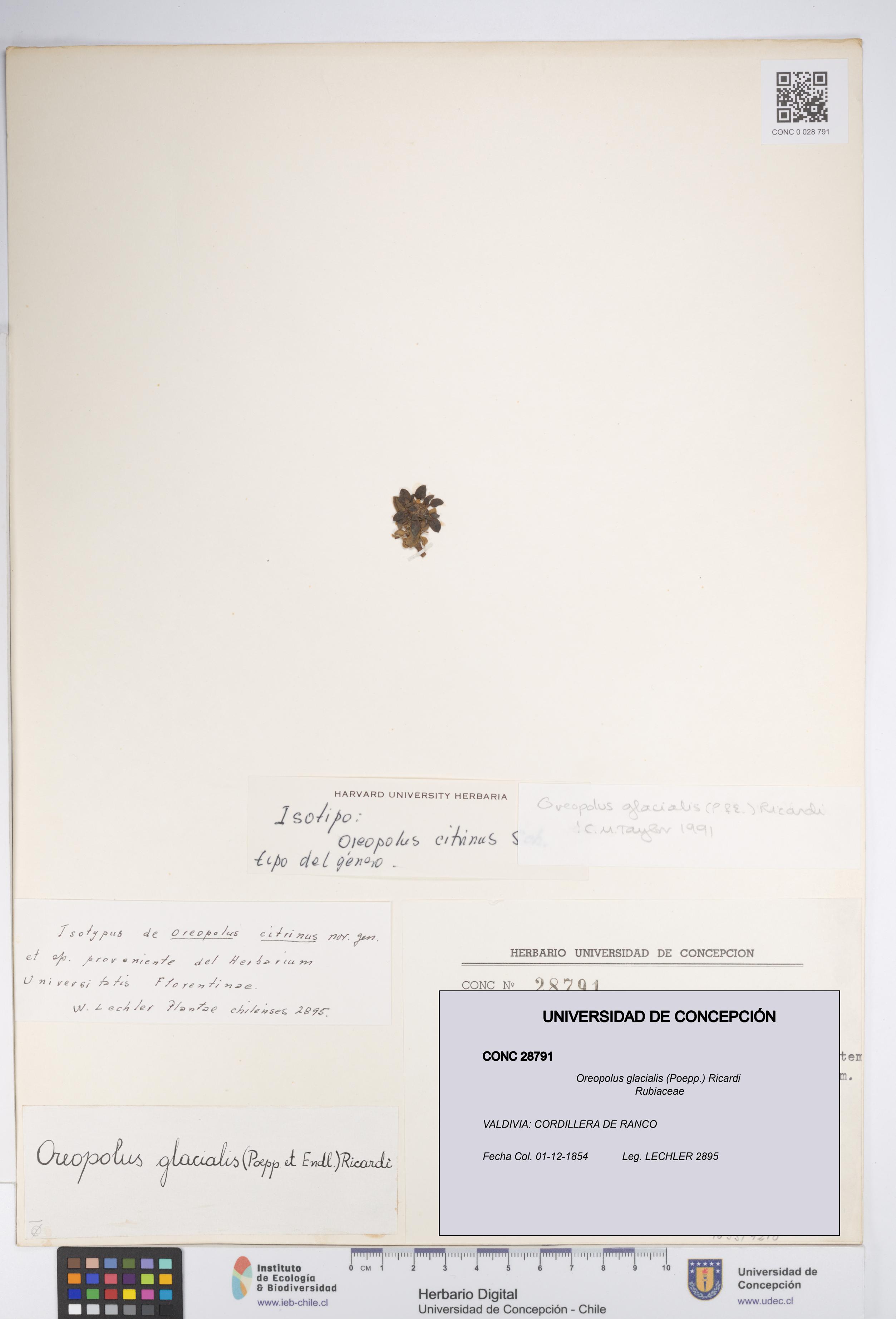 UDEC:CONC:0028791