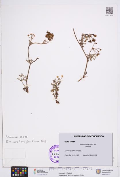 Eremocharis fruticosa [Espécimen: ]