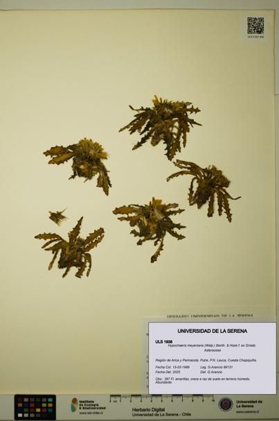 ULS:ULS:0001938