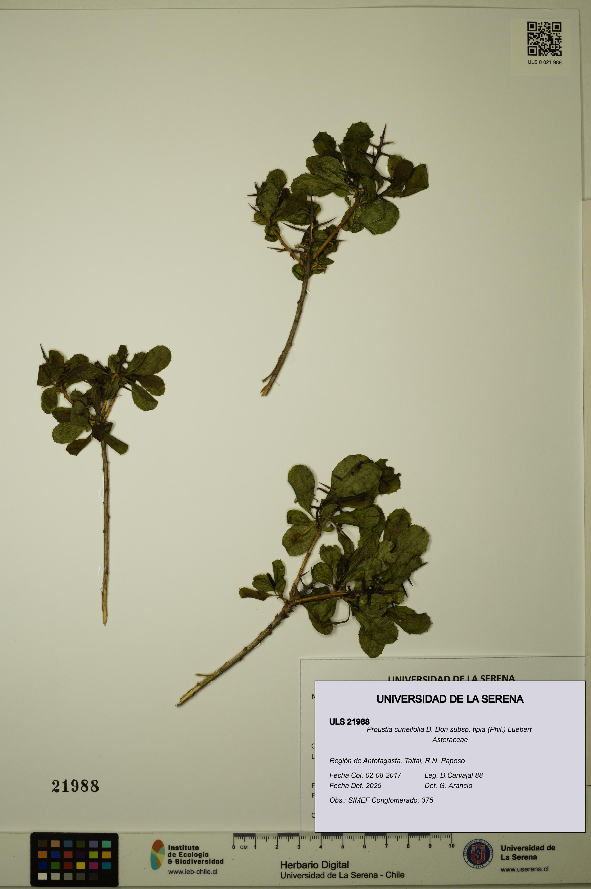 ULS:ULS:0021988